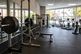 Skivstångsställ med viktskivor, hantelrad och bänkar i ett gym med konditionsmaskiner längs fönstren.